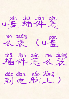 u盘插件怎么装(u盘插件怎么装到电脑上)