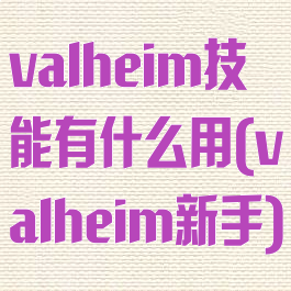 valheim技能有什么用(valheim新手)