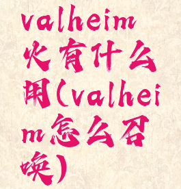 valheim篝火有什么用(valheim怎么召唤)