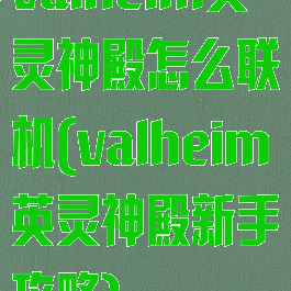 valheim英灵神殿怎么联机(valheim英灵神殿新手攻略)