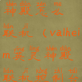 valheim英灵神殿怎么联机(valheim英灵神殿联机控制台)