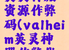 valheim英灵神殿资源作弊码(valheim英灵神殿作弊代码)