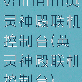 valheim英灵神殿联机控制台(英灵神殿联机控制台)