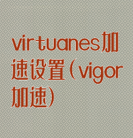virtuanes加速设置(vigor加速)