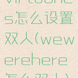 virtuanes怎么设置双人(wewerehere怎么双人)