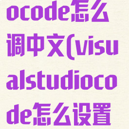visualstudiocode怎么调中文(visualstudiocode怎么设置中文)