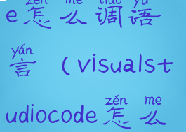 visualstudiocode怎么调语言(visualstudiocode怎么设置中文)