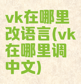 vk在哪里改语言(vk在哪里调中文)