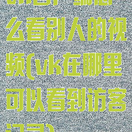 vk客户端怎么看别人的视频(vk在哪里可以看到访客记录)