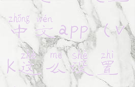 vk怎么设置中文app(vk这么设置中文)