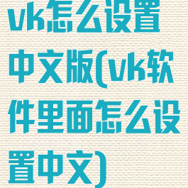vk怎么设置中文版(vk软件里面怎么设置中文)
