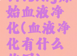 vrising原始血液净化(血液净化有什么作用)