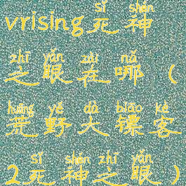 vrising死神之眼在哪(荒野大镖客2死神之眼)