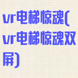 vr电梯惊魂(vr电梯惊魂双屏)