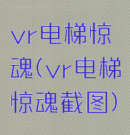 vr电梯惊魂(vr电梯惊魂截图)