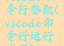 vscode命令行参数(vscode命令行运行代码)