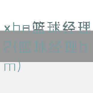 xba篮球经理2(篮球经理bm)