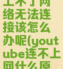youtube上不了网络无法连接该怎么办呢(youtube连不上网什么原因)