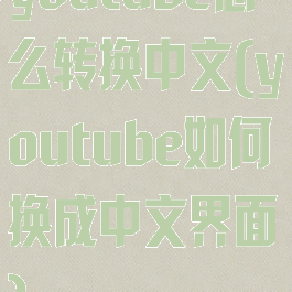 youtube怎么转换中文(youtube如何换成中文界面)