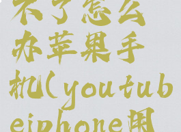 youtube用不了怎么办苹果手机(youtubeiphone用不了)