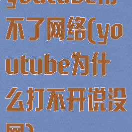 youtube用不了网络(youtube为什么打不开说没网)