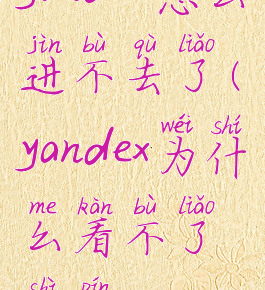 yandex怎么进不去了(yandex为什么看不了视频)