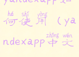 yandexapp如何使用(yandexapp中文)