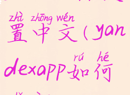 yandexapp设置中文(yandexapp如何使用)