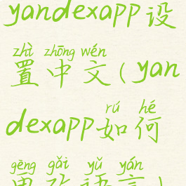 yandexapp设置中文(yandexapp如何更改语言)