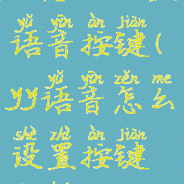 yy怎么设置语音按键(yy语音怎么设置按键说话)
