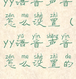 yy语音声音怎么设置(yy语音声音怎么设置的)