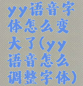 yy语音字体怎么变大了(yy语音怎么调整字体)