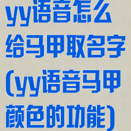 yy语音怎么给马甲取名字(yy语音马甲颜色的功能)