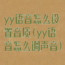 yy语音怎么设置音质(yy语音怎么调声音)
