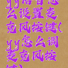 yy语音怎么设置麦克风按键(yy怎么调麦克风按键)