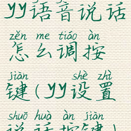 yy语音说话怎么调按键(yy设置说话按键)