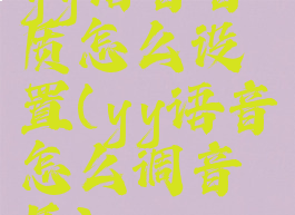 yy语音音质怎么设置(yy语音怎么调音质)