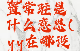 yy频道设置常驻是什么意思(yy在哪设置常驻)