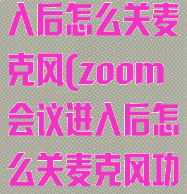 zoom会议进入后怎么关麦克风(zoom会议进入后怎么关麦克风功能)